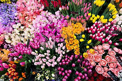 《RPG Maker WITH》宣布登陆NS 发售时间未公布