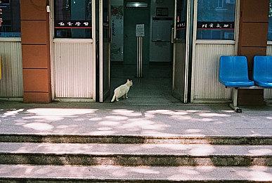 科隆展开幕式8月26凌晨举行 B社、育碧众大厂参与